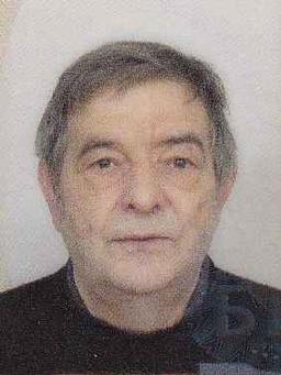 Irfan  (Ismet)  Krka