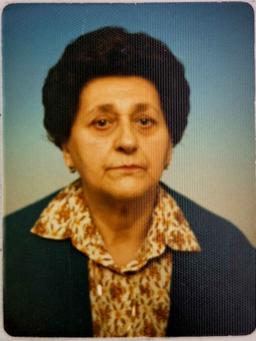 Zineta  Hadžić