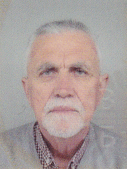 Ahmet (Salko) Selimović