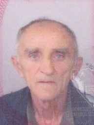 Džemail  (Mehmed) Alić