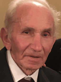 Prof.Dr.Sci. Hamdo  Lokvančić
