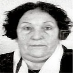 Anđelia  Stipić