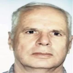 Alija  Dolić