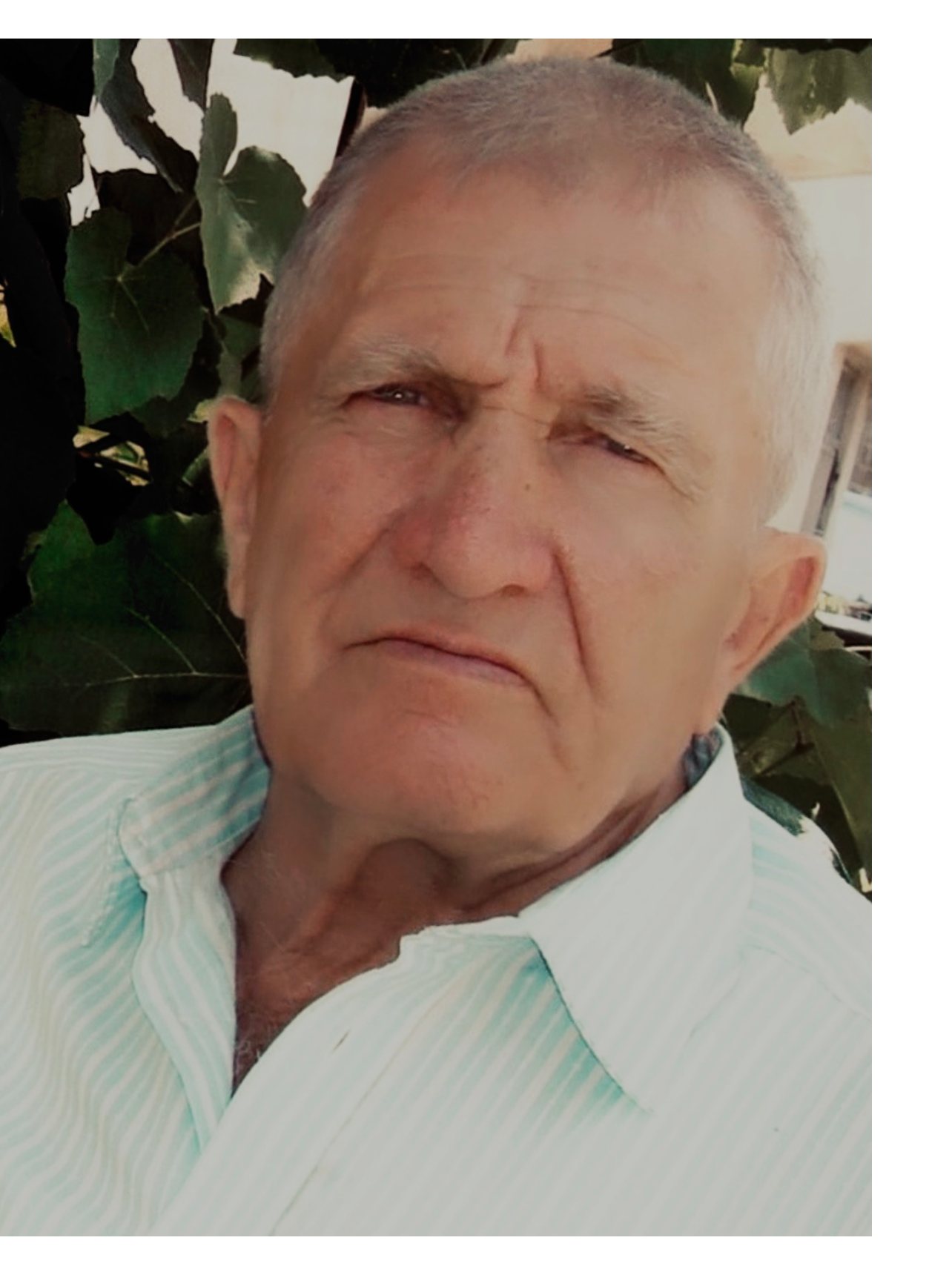 Edhem  Hamzic