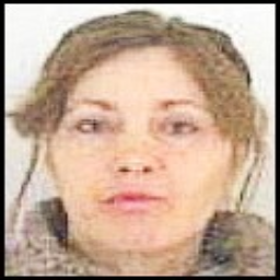 Višnja  Lasić