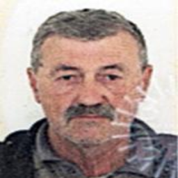 Sabit  Burek