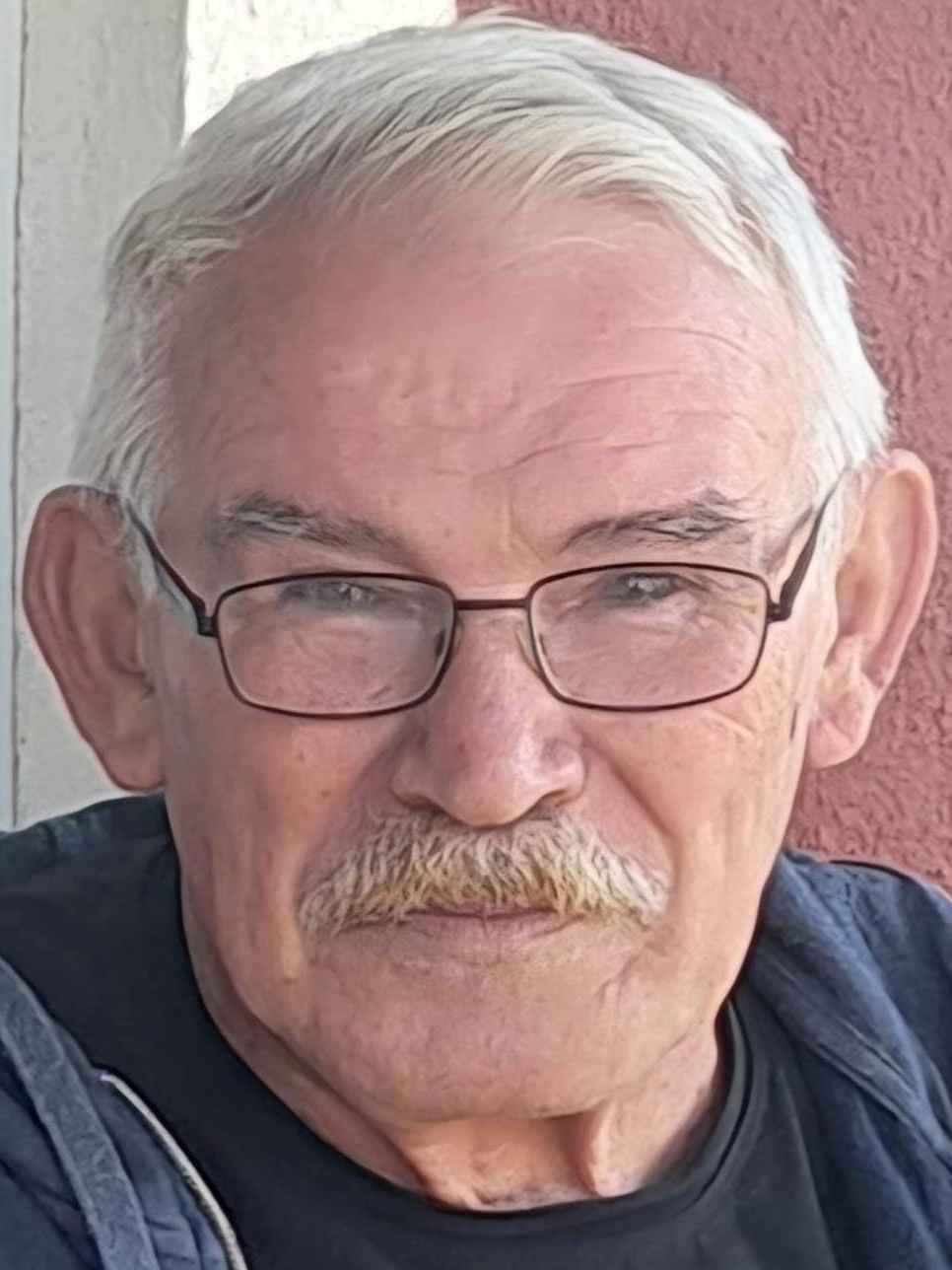 Kemal  Fetibegović
