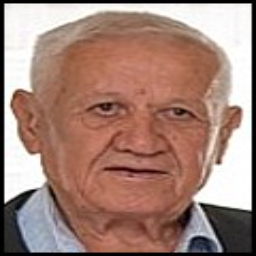 Mladen  Šain