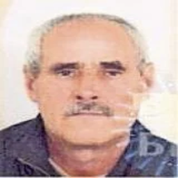 Salih  Ademović