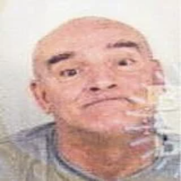 Aziz (Mehmeda) Karišik