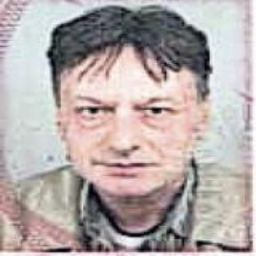 Fuad (Rifeta) Godinjak