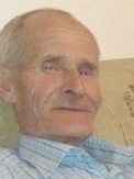  Meho (Ibiš) Hodžić