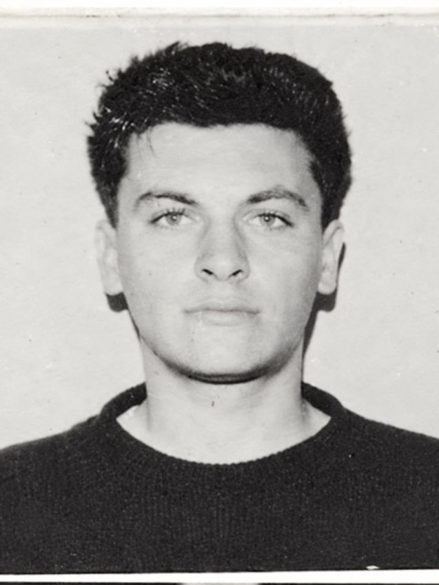 Elvir (Emin) Šovšić