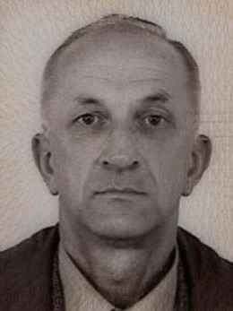 Novak (Risto) Videkanić
