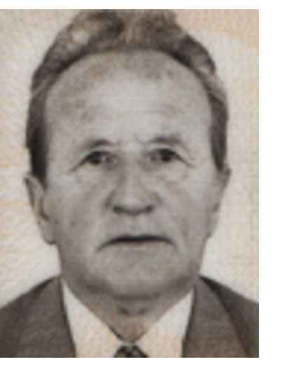 Muhamed (Šaćir) Topčić