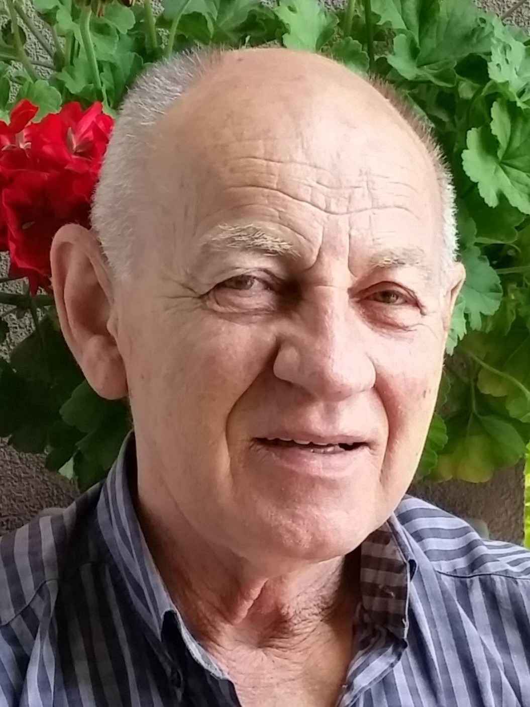 Alija (Derviš) Dedić