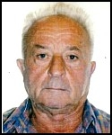 Žarko  Milićević