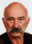 Smiljan  Batinović
