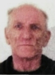 Živko Guja (Pok.  Nikole)
