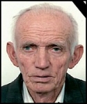 Dragan  Žulj