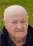Radovan  Stojanović