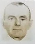 Ivan Dilber -  Borčankić