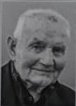 Dominik  Škaro