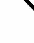 Slavko  Zelenika
