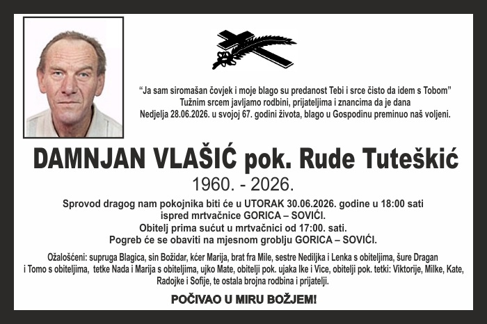 Damnjan  Vlašić