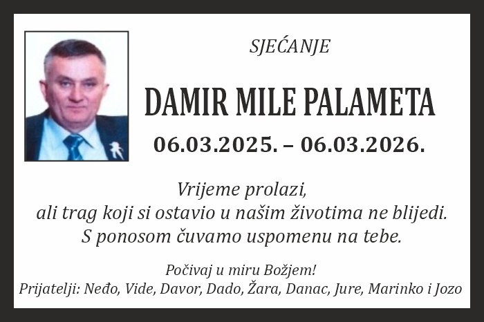 Damir Mile  Palameta