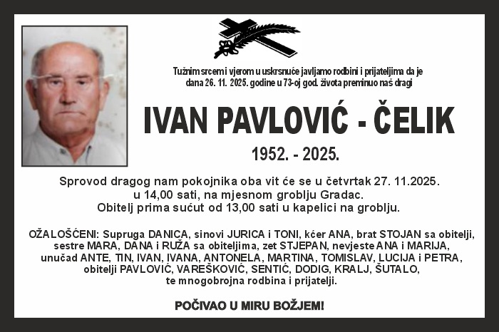 Ivan Pavlović –  Čelik