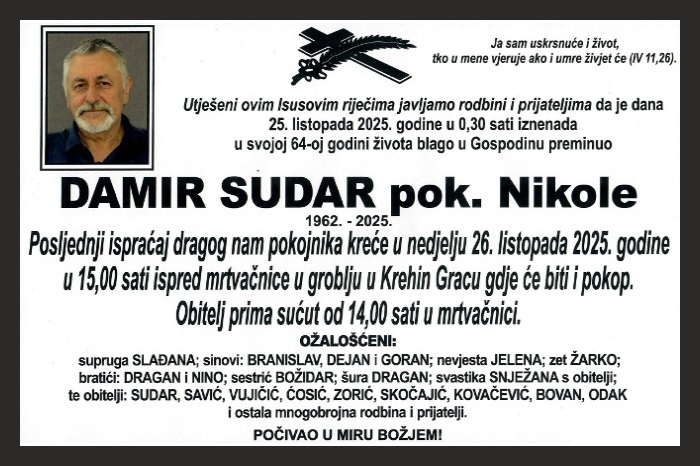 Damir  Sudar