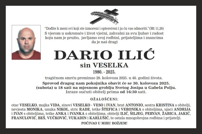 Dario  Ilić