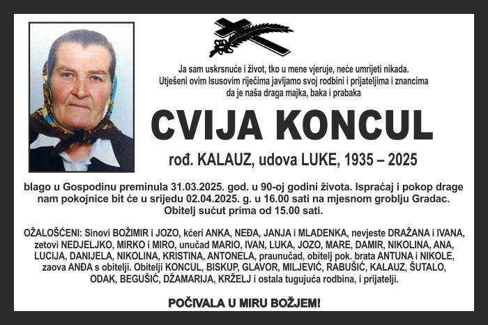Cvija  Koncul