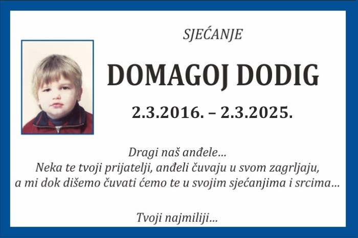 Domagoj  Dodig