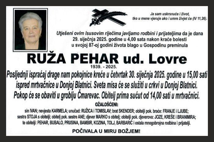 Ruža  Pehar