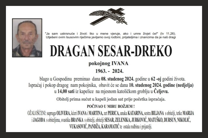 Dragan  Sesar-Dreko