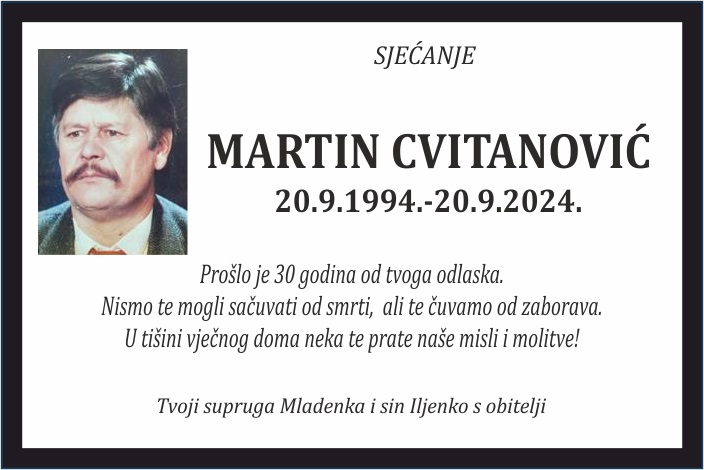 Martin  Cvitanović