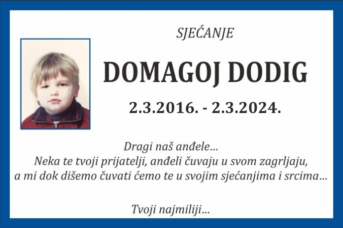 Domagoj  Dodig