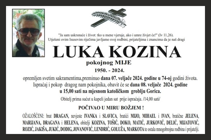 Luka  Kozina