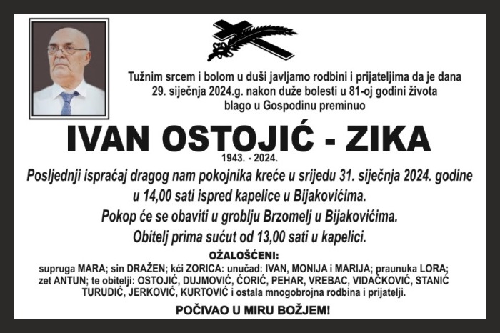 Ivan Ostojić –  Zika