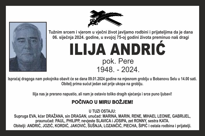 Ilija  Andrić