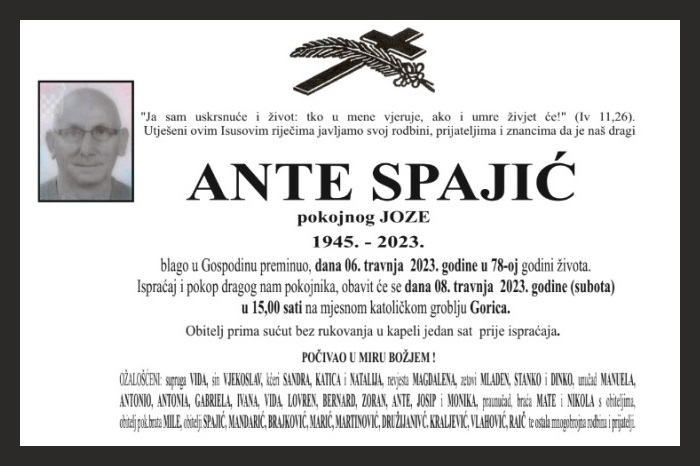 Ante  Spajić