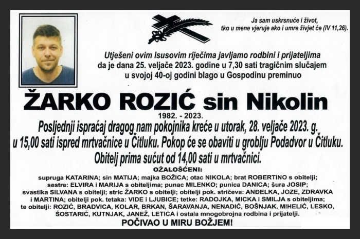 Žarko  Rozić