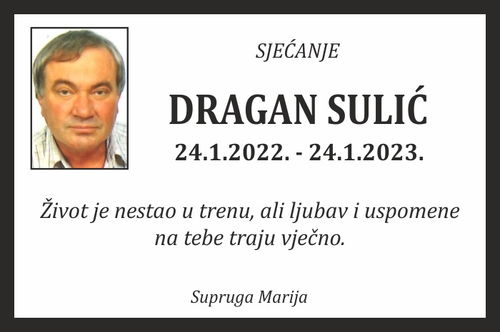 Dragan  Sulić