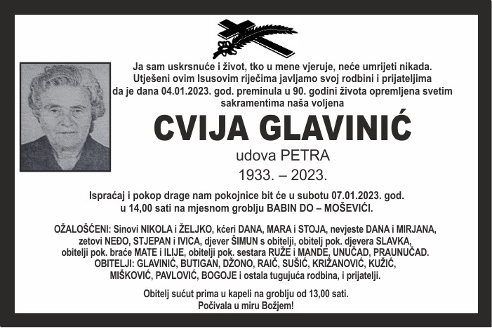 Cvija  Glavinić