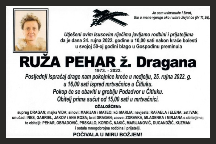 Ruža  Pehar