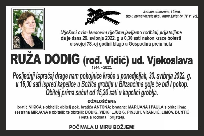 Ruža  Dodig