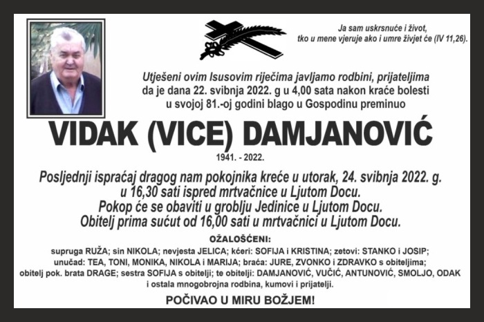 Vidak (Vice)  Damjanović