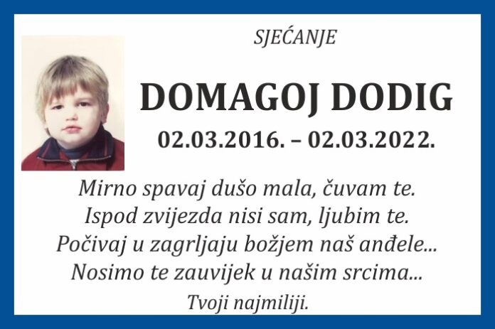 Domagoj  Dodig